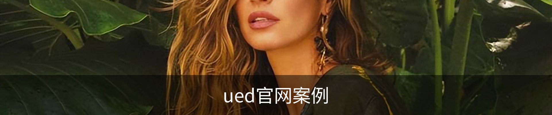 ued官网案例